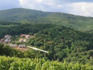 Alsace Panorama