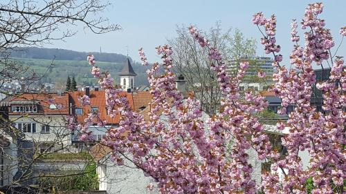 Villa Am Rosenfelspark Lörrach allemagne