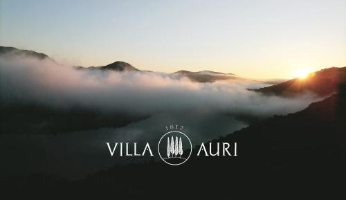 Villa Auri Vila Nova de Foz Coa portugal