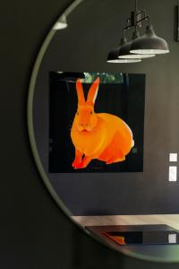 Villa Aux Petits Lapins de Sorval, sauna privé, fitness Ferme de Sorval Rue de Sorval 59127 Selvigny Nord-Pas-de-Calais