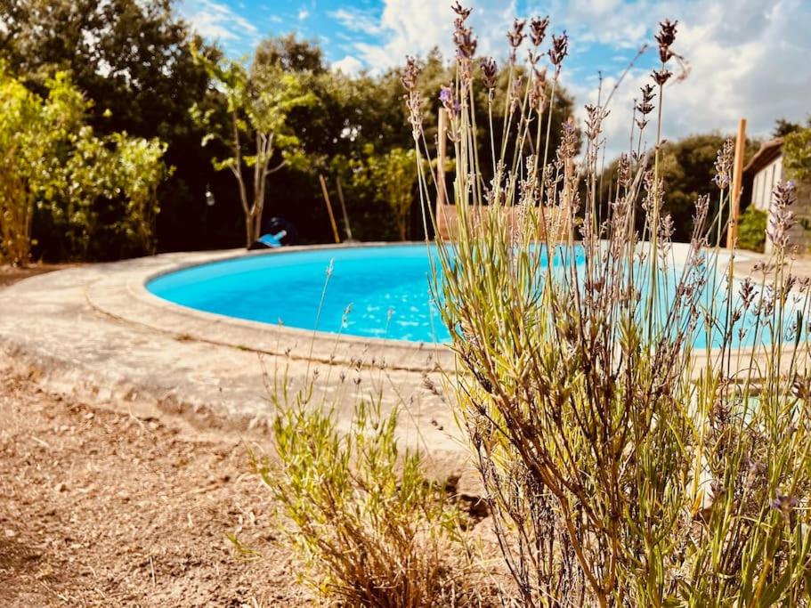 Villa Villa avec piscine en bordure de forêt 61 Les Yssarts, 30360 Monteils