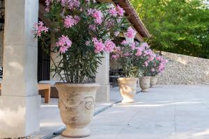 Bastide Des Lavandins