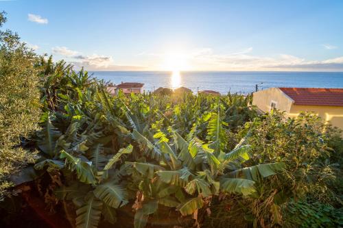 Beach Sunset Villa 150m from the Ocean