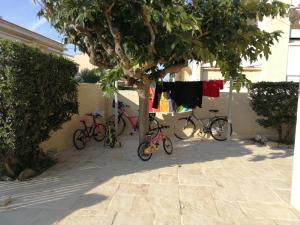Belle maison, en bord de plage