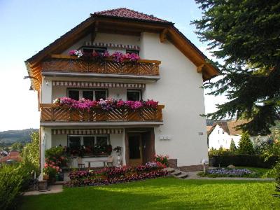 Appartements Villa Bellevue Am Honigberg 6 1.OG, Villa Bellevue, 37284 Waldkappel
