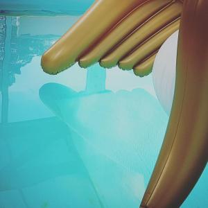BerrySprings votre villa-piscine au milieu des champs
