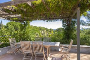 Bormes les Mimosas