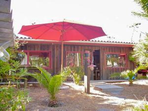 Cap Ferret villa bois 44 hectares ref 151