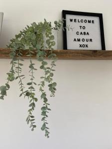 Casa Amour Luxury Villa
