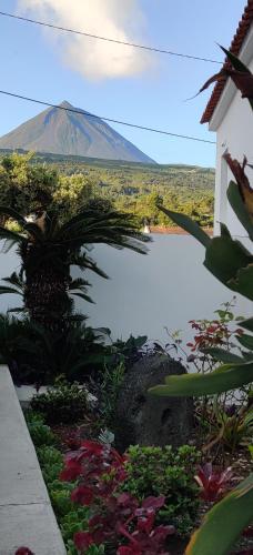 Casa da Avó Biza