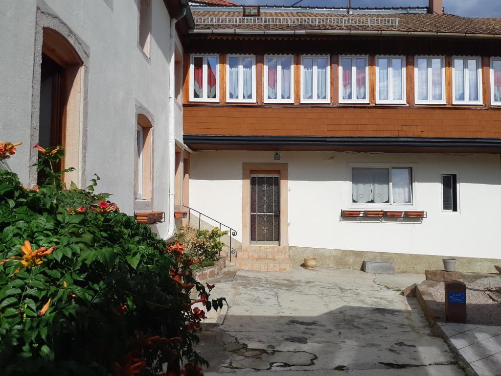 CASA Eleven