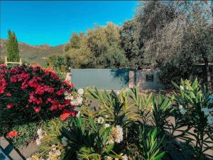 Villa CASA GIABICONI - Villa 6pers. piscine & spa Route de Tesa, Hameau du Soleil 20226 Occhiatana Corse