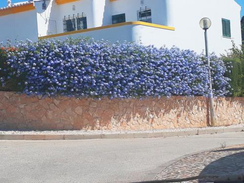 Casa Rosa Floresta