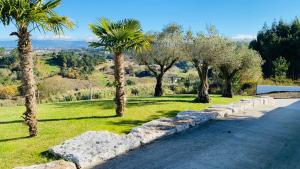 Cecile's Villa