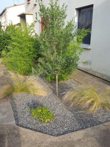 Charmante maison avec jardin et garage.
