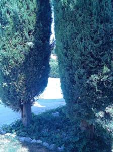 Charmante villa provençale avec piscine & jardin