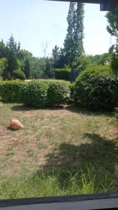 Charmante villa provençale avec piscine & jardin