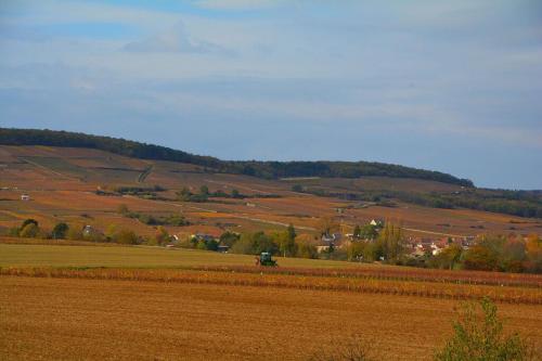 Chateau des Barrigards