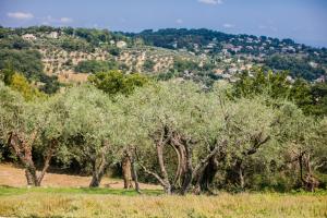 Chateauneuf Bellevue