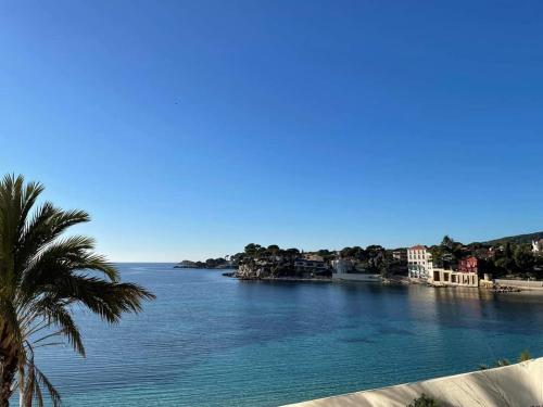 Appartement Villa Cocody 80 Rue des Orangers Bandol