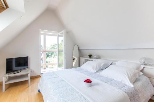 Villa Cosy et SPA - Strasbourg Mundolsheim france