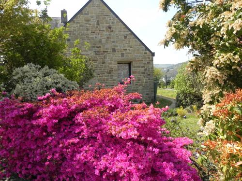 B&B / Chambre d'hôtes Villa d'Ys 38 Rue de Clonakilty Châteaulin