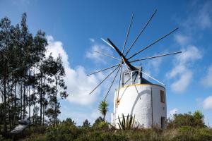Delightful forest windmill, 10 min away from the beach