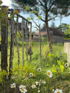 Domaine de Combraille en Marche