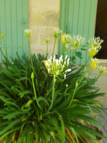 Domaine des glycines