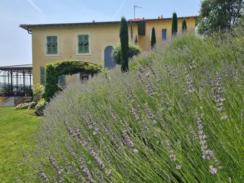 Domaine Villa ELEA