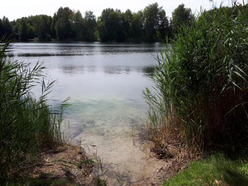 Villa Duck-Dich-Südheide Hermannsburg allemagne