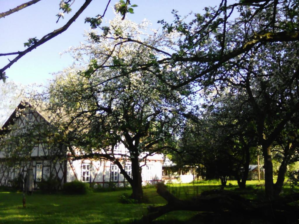Appartement Villa Eden Peene 3 Fährdamm, 17506 Gützkow