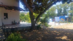 Estrela do Litoral Beach House
