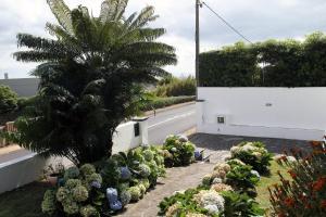 Family Holiday Villa Vacations Ponta Delgada