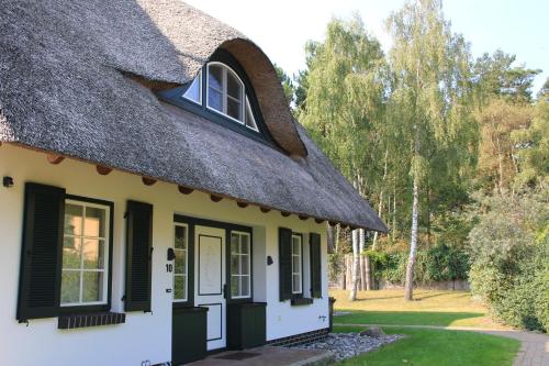 Ferienhäuser Dünenmeer