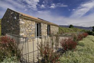 Fig Tree House