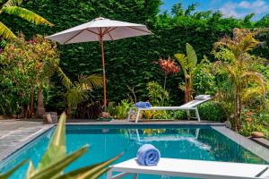 Garden Paradise by OurMadeira