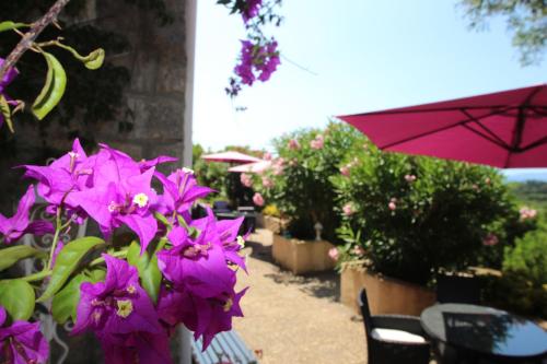 B&B / Chambre d'hôtes Villa Ghiatone Lieu Dit GHIATONE Allée du Maquis Pietrosella