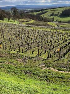 Gite du Domaine LEMONDE