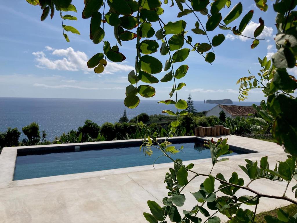 Guava Azores EN3-2A 84, 9680-514 Ribeira das Tainhas