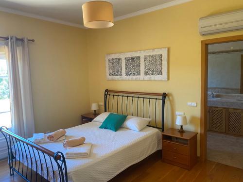 HEATED POOL , JACUZZI, WIFI ,GAMES ROOMS,9 BEDROOMS