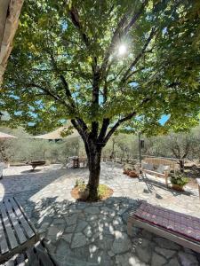 Hidden Gem within a peaceful olive orchard, large oak forest