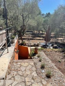Hidden Gem within a peaceful olive orchard, large oak forest