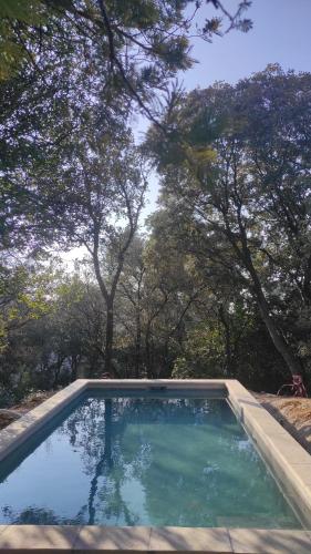 House haven of peace in the pine forest