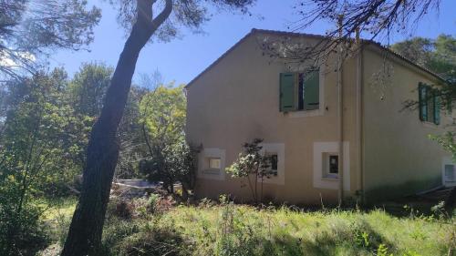 House haven of peace in the pine forest