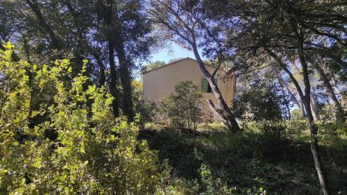 House haven of peace in the pine forest