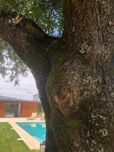 Villa Jardim do Olival - Casa com piscina 257 Rua de Pereira 4990-307 Correlhã Région Nord