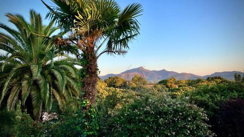 Villa Kokoloa : piscine chauffée et vue montagnes Ciboure france