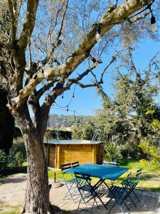 L'ATELIER - Piscine - Dans les vignes - Cassis
