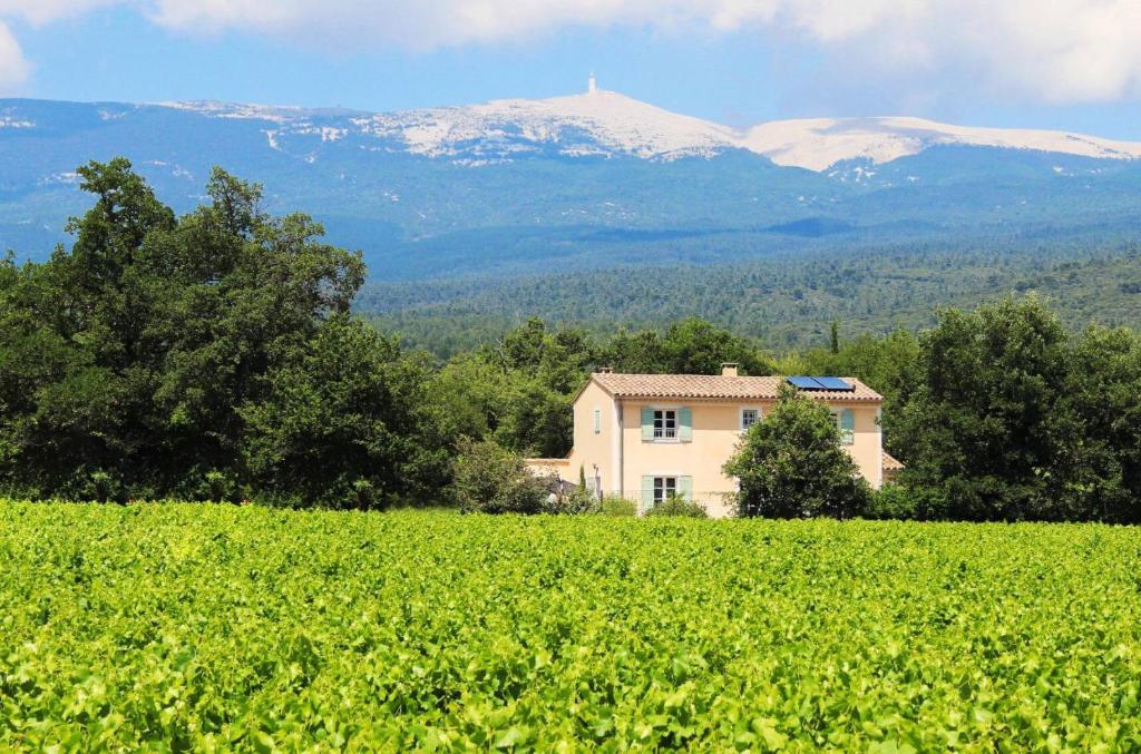 La Bastide de l'Olivier 462 Route de Villes Sur Auzon, 84410 Flassan